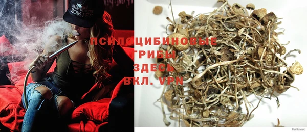 амф Струнино