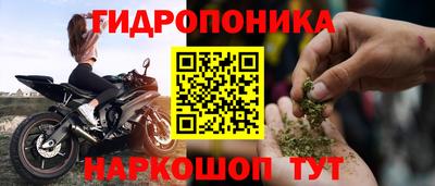 спиды Кандалакша