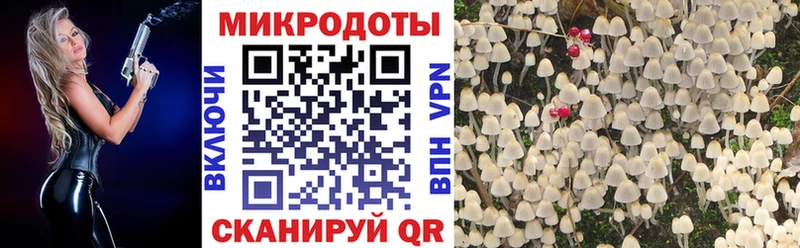 хочу наркоту  Сланцы  Галлюциногенные грибы GOLDEN TEACHER 